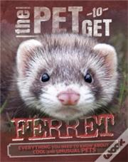Ferret