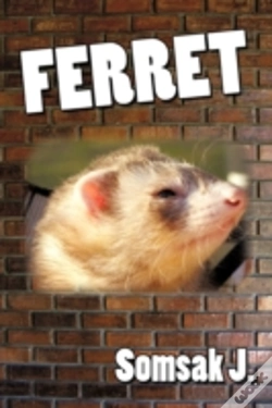 Capa do artigo Ferret