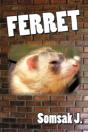 Ferret - Preview