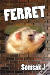 Capa do artigo Ferret