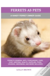 Ferrets As Pets