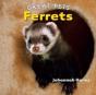 Ferrets - Preview