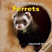 Capa do artigo Ferrets