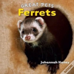 Capa do artigo Ferrets
