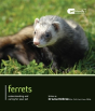 Ferrets - Pet Friendly - Preview