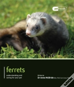 Capa do artigo Ferrets - Pet Friendly