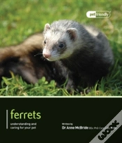 Capa do artigo Ferrets - Pet Friendly