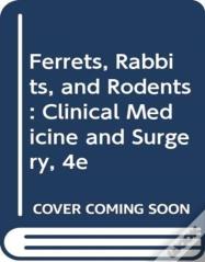 Ferrets, Rabbits, And Rodents