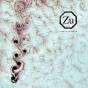 Ferrum Sidereum - Vinil - Preview