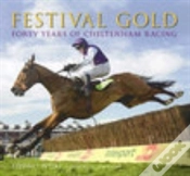 Capa do artigo Festival Gold