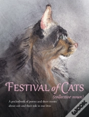Capa do artigo Festival Of Cats