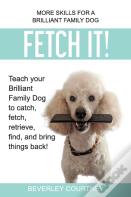Fetch It!