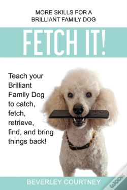 Capa do artigo Fetch It!