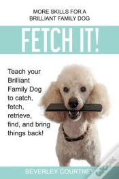 Capa do artigo Fetch It!