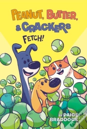 Capa do artigo Fetch!