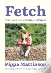 Capa do artigo Fetch