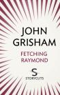 Fetching Raymond (Storycuts) - Preview