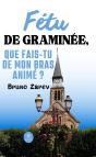 Fetu De Graminee, Que Fais-Tu De Mon Bras Anime ? - Preview