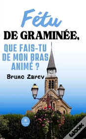 Capa do artigo Fetu De Graminee, Que Fais-Tu De Mon Bras Anime ?