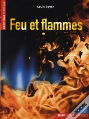Capa do artigo Feu Et Flammes