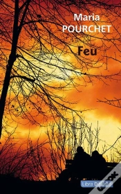 Capa do artigo Feu