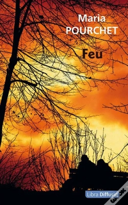 Capa do artigo Feu
