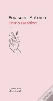 Capa do artigo Feu Saint Antoine