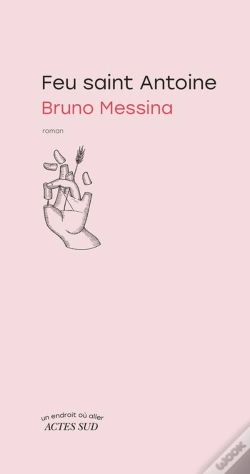 Capa do artigo Feu Saint Antoine