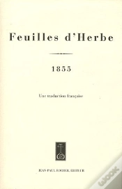 Capa do artigo Feuilles D