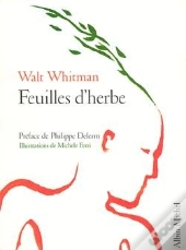 Feuilles D'Herbe