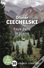 Feux Dans La Plaine