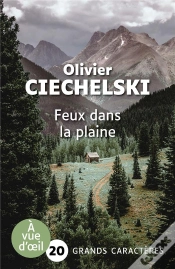 Capa do artigo Feux Dans La Plaine