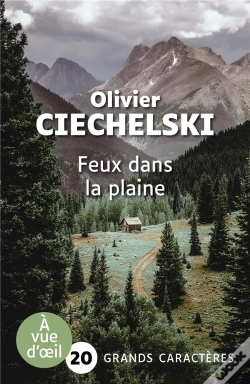 Capa do artigo Feux Dans La Plaine