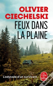 Capa do artigo Feux Dans La Plaine