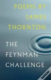 Capa do artigo Feynman Challenge