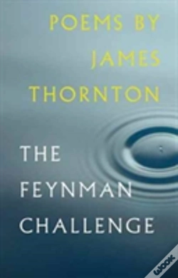 Capa do artigo Feynman Challenge