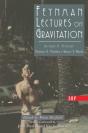Feynman Lectures On Gravitation - Preview