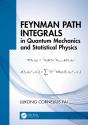 Feynman Path Integrals In Quantum Mechanics And Statistical Physics - Preview