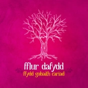 Capa do artigo Ffydd Gobaith Cariad - CD