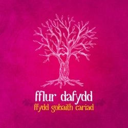 Capa do artigo Ffydd Gobaith Cariad - CD