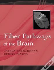 Fiber Pathways Of The Brain