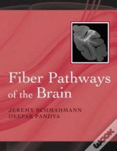 Fiber Pathways Of The Brain