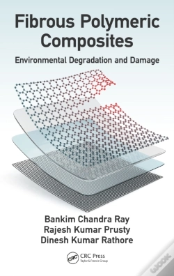 Capa do artigo Fibrous Polymeric Composites