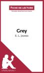 Fiche De Lecture : Grey De E. L. James ; Analyse Complète De L'Oeuvre Et Résumé - Preview