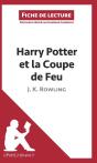 Fiche De Lecture : Harry Potter Et La Coupe De Feu De J. K. Rowling ; Résumé Complet Et Analyse Détaillée De L'Oeuvre - Preview