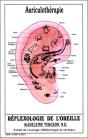 Fiches D'Auriculo/Reflexologie Mains Et Pie - Preview