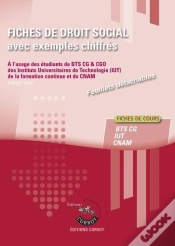 Capa do artigo Fiches De  Droit Social Avec Exemples Chiffres - Processus 4 Du Bts Cg