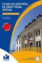 Fiches De Synthese De Droit Penal Special - 2015/2016 - Preview
