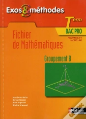 Capa do artigo Fichier De Mathematiques Terminale Bac Pro - Groupement B -Exos & Methodes- Livre De L