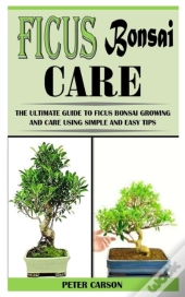Ficus Bonsai Care